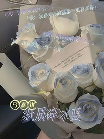 马嘉祺：纸质碎冰蓝