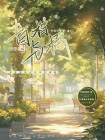 青柠与橘n