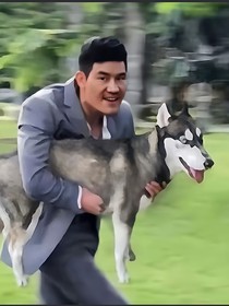 这个家有点疯