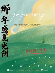那年盛夏光阴