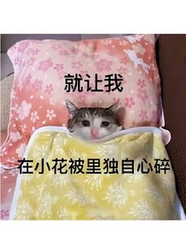 是一種救贖吧……