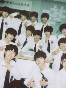 TF家族推書