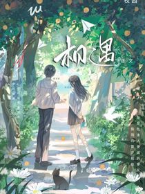 相遇的年少