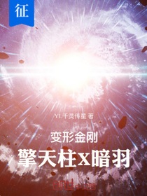 擎天柱X暗羽