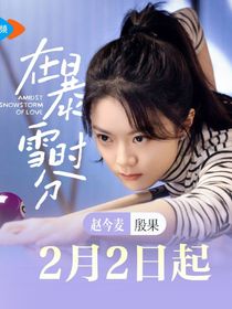 在暴雪时分第二季