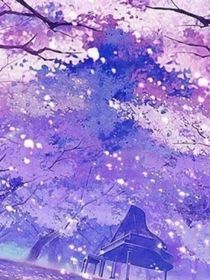 棉靈樹傳說