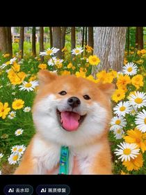 老汽水