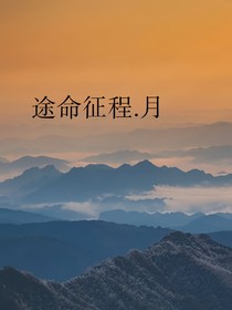 途命征程……月