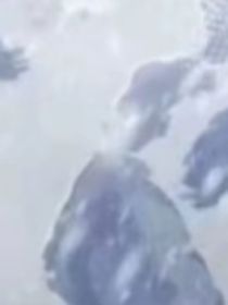 我在人间找不到你