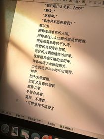 执念让我想去巳