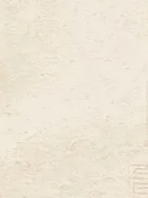 雜文，搜索