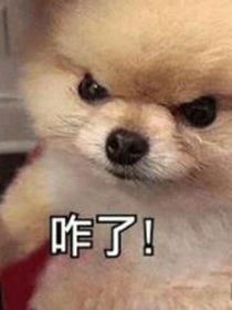 故事死亡（没后续）