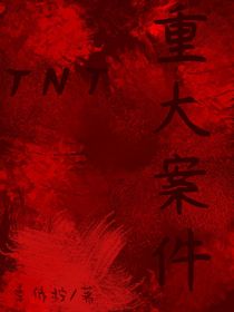 TNT：重大案件