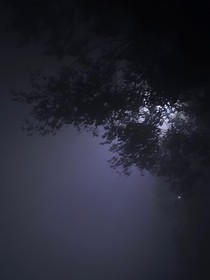 夜间碎笔