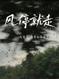 風(fēng)停就走