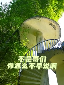 不是哥们你怎么不早说啊