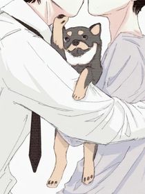 文祺小说电子版