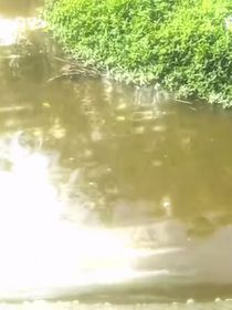 相隔海