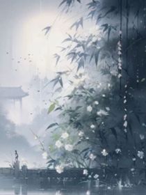 热血的年少