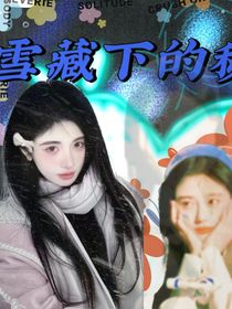 TF三代：雪藏下的秘密