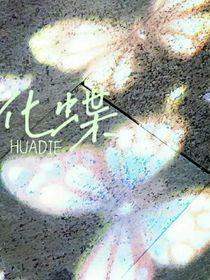 化蝶忘相思