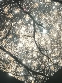 e人和i人的爱情
