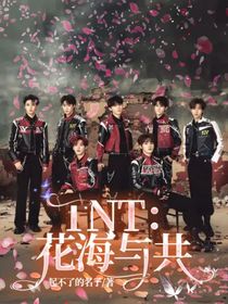 TNT：花海與共