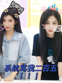 系统骂我二百五