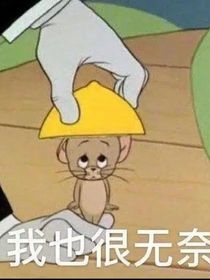 穿进凹凸世界参加凹凸大赛