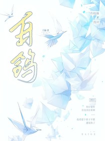 白鸽1