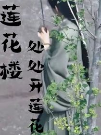 莲花楼：处处开莲花