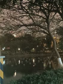 食言的你