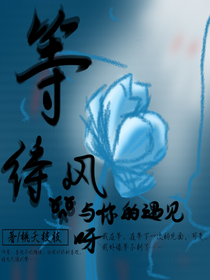 等待风与你的遇见呀