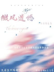 微风遗憾