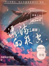 灑滿(mǎn)星星的夜空