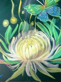 五言的愿星光灿烂