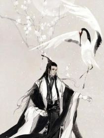 斩天传