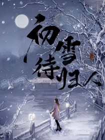 初雪待人归