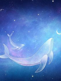 超变战陀2：永恒的星空