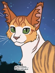 猫武士星火复燃