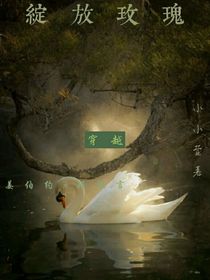 绽放玫瑰