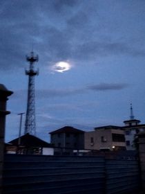 将你写满日记