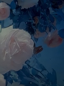 极地航行：你不配