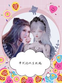 斗陆：带刺的双生玫瑰