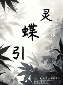 灵蝶引