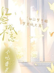 江念城不忘
