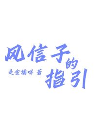 風(fēng)信子的指引