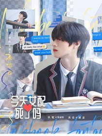 TF三代：今天女配死了吗？