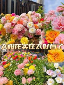 末世：我攜系統(tǒng)守護華國