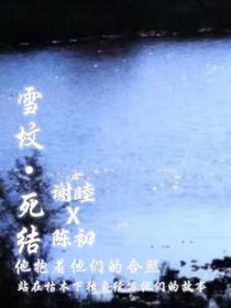 雪坟——死结